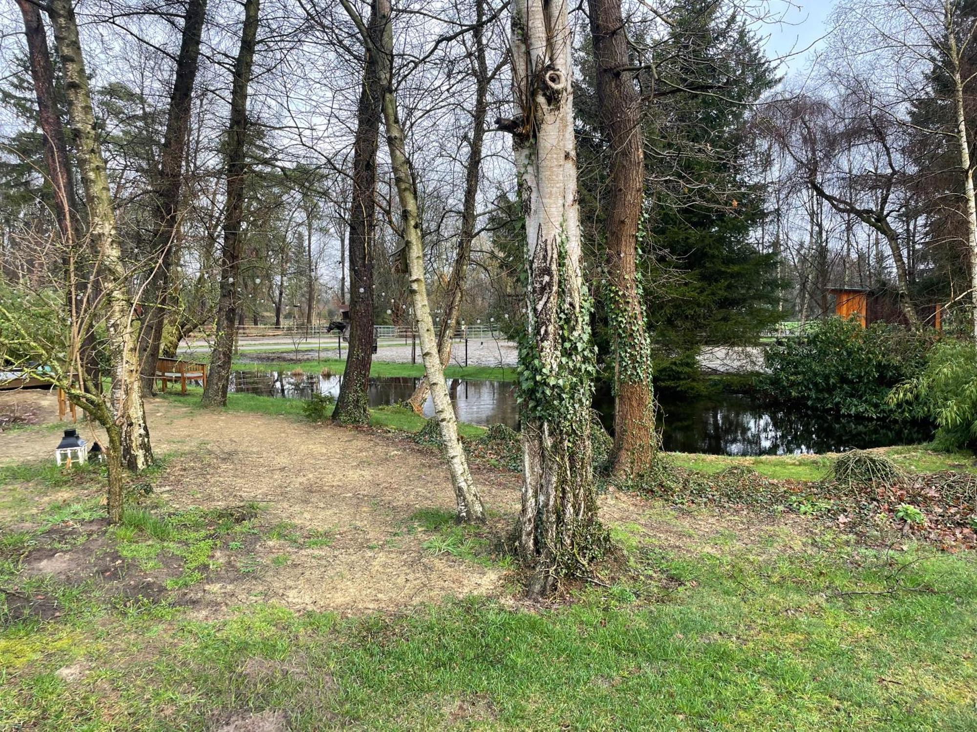 شقة Haus Am Teich فوربسفيديه المظهر الخارجي الصورة